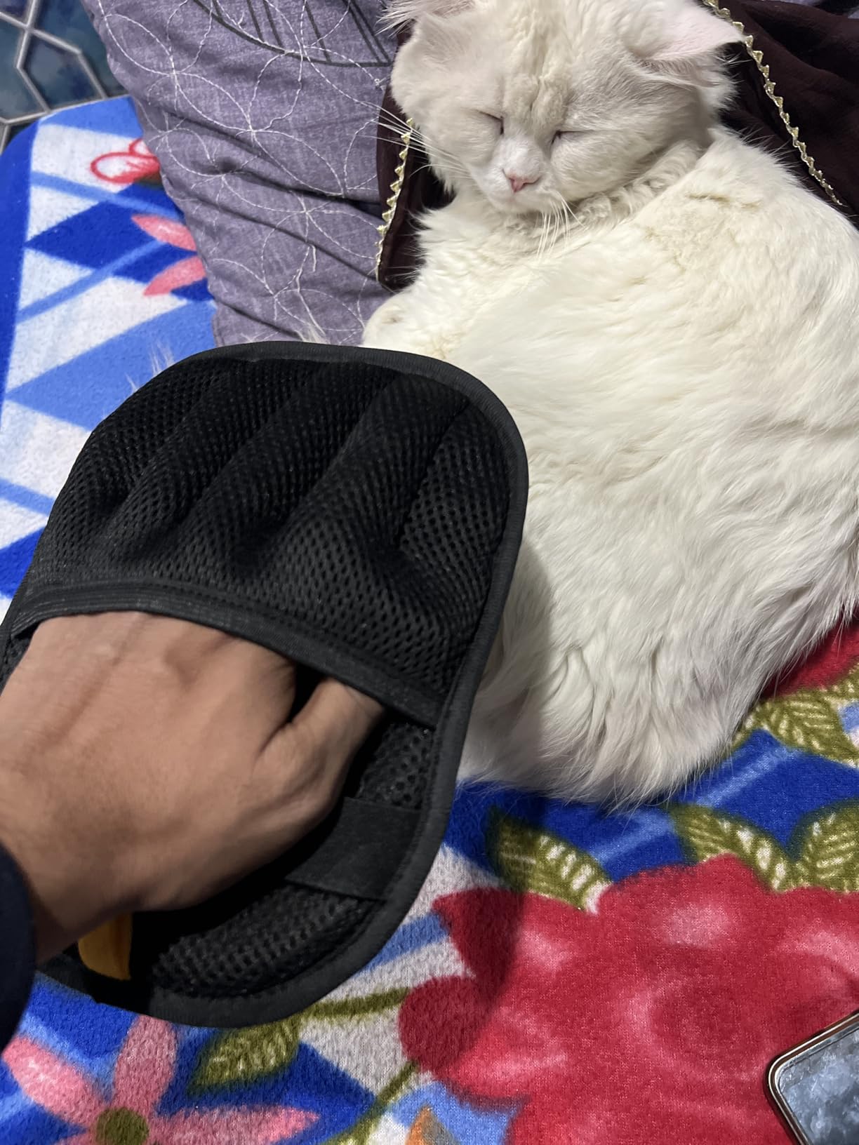Grooming Essentials