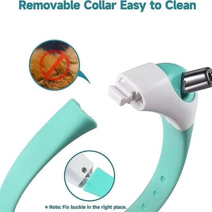 ChaseRing™ – Hands-Free Collar Toy for Cats