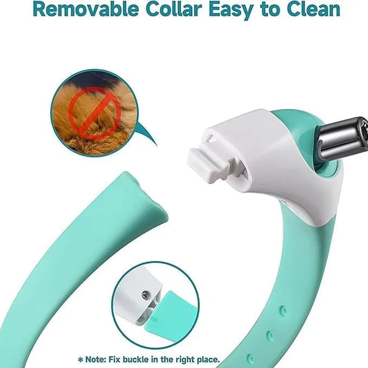 ChaseRing™ – Hands-Free Collar Toy for Cats