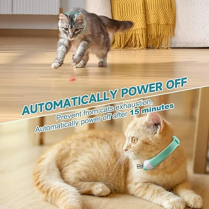 ChaseRing™ – Hands-Free Collar Toy for Cats