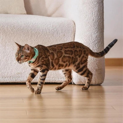 ChaseRing™ – Hands-Free Collar Toy for Cats