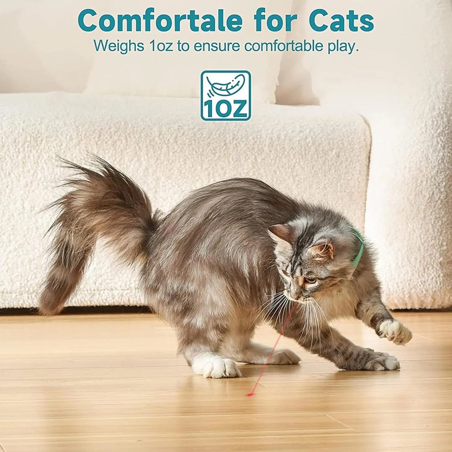 ChaseRing™ – Hands-Free Collar Toy for Cats