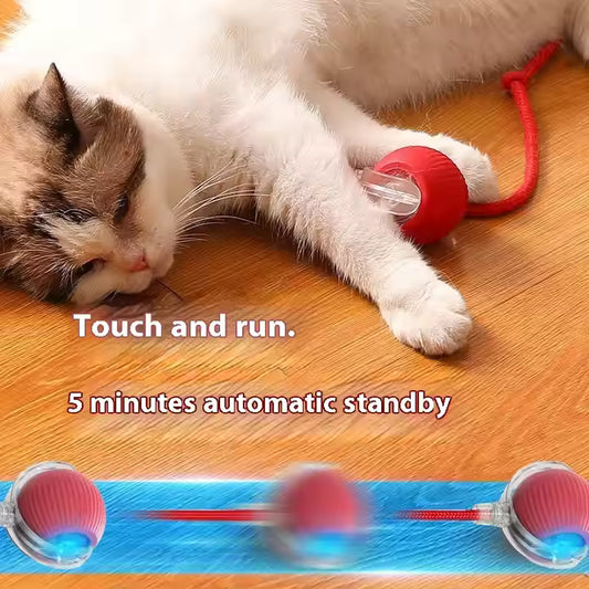 PawRoller™ – The Ultimate Auto-Moving Chase Ball for Cats & Dogs