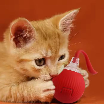 PawRoller™ – The Ultimate Auto-Moving Chase Ball for Cats & Dogs