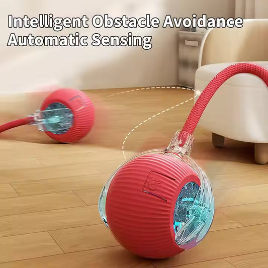 PawRoller™ – The Ultimate Auto-Moving Chase Ball for Cats & Dogs