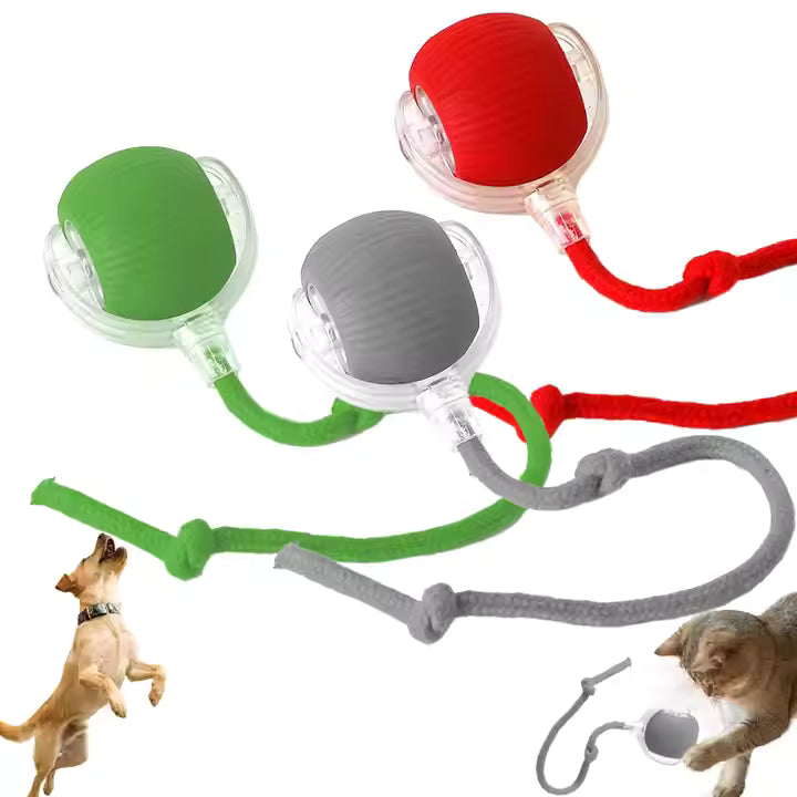 PawRoller™ – The Ultimate Auto-Moving Chase Ball for Cats & Dogs