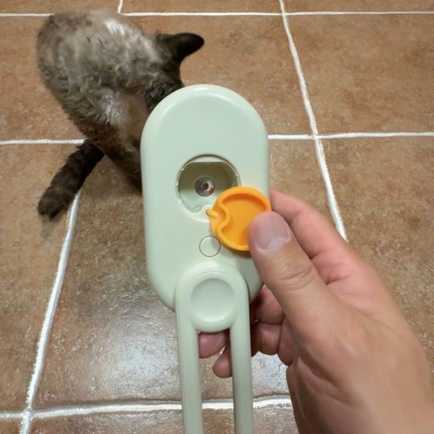 PuffBrush™ Pet Steam Brush – Comb, Massage & Bathe in One Go