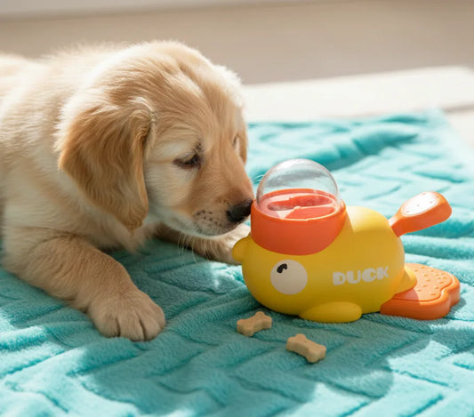 PetFeeder™ – Puzzle Feeding Toy | Calm Eating | Smarter Habits
