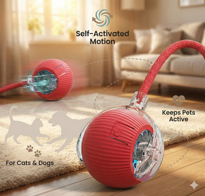 PawRoller™ – The Ultimate Auto-Moving Chase Ball for Cats & Dogs