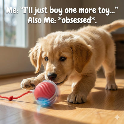 PawRoller™ – The Ultimate Auto-Moving Chase Ball for Cats & Dogs